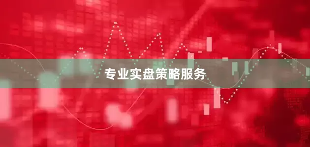 专业实盘策略服务