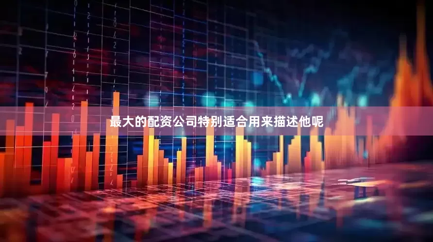 最大的配资公司特别适合用来描述他呢